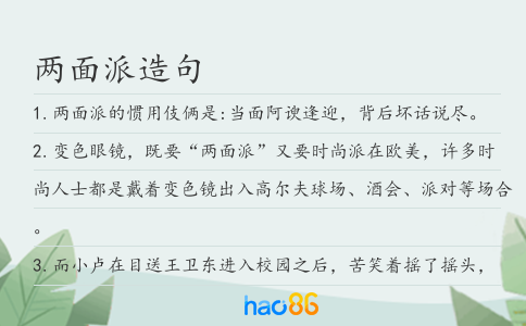 兩面派造句