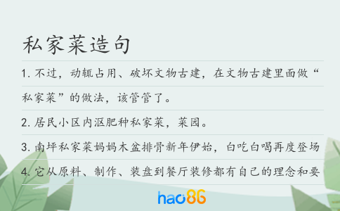 私家菜造句