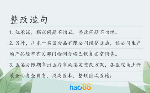 整改造句