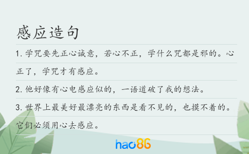 感應(yīng)造句