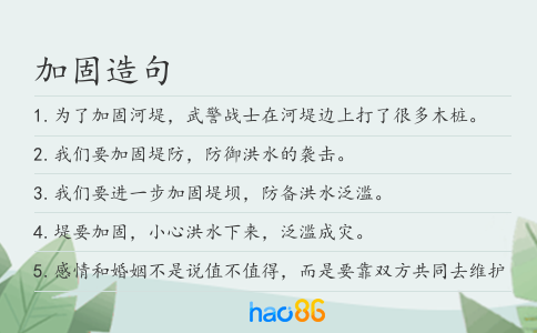 加固造句