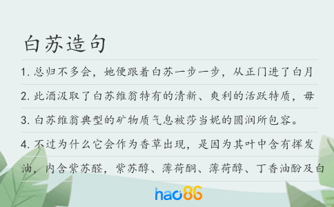 白蘇造句
