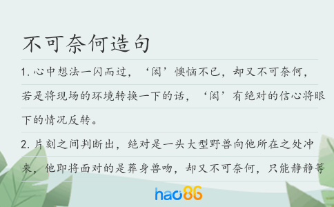 不可奈何造句