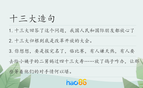 十三大造句