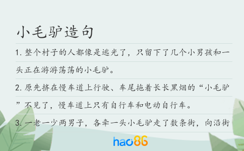 小毛驢造句