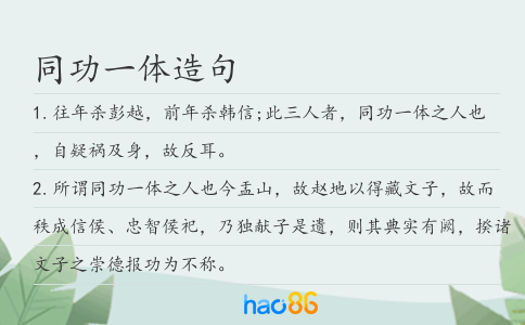 同功一體造句