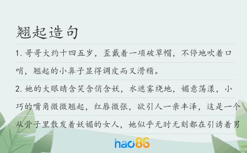 翹起造句