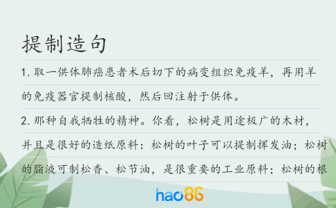 提制造句