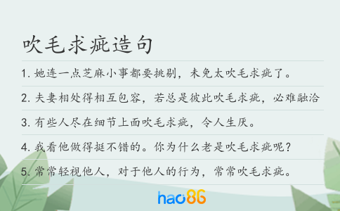 吹毛求疵造句