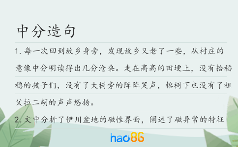 中分造句