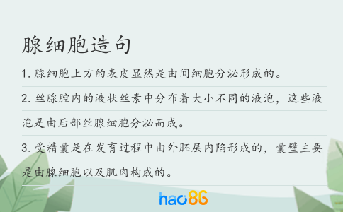 腺細胞造句