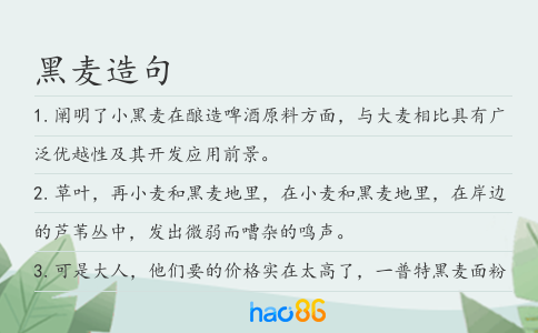 黑麥造句
