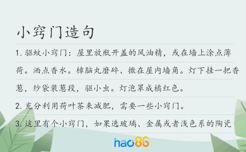 小竅門造句