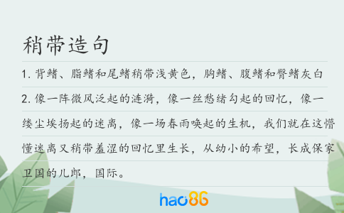 稍帶造句