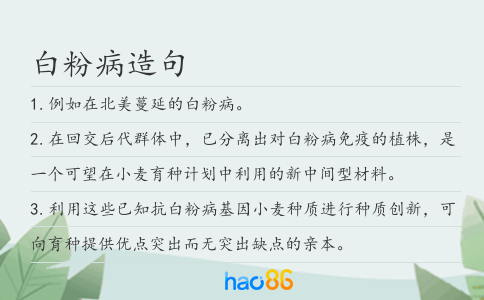 白粉病造句