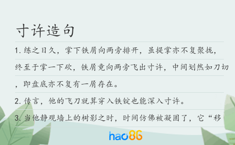 寸許造句