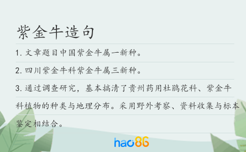 紫金牛造句