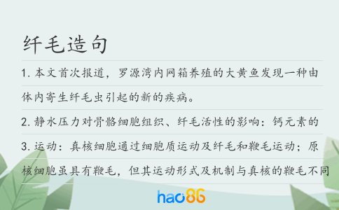 纖毛造句