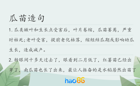 瓜苗造句