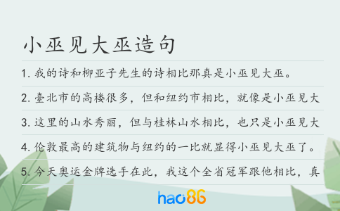 小巫見大巫造句