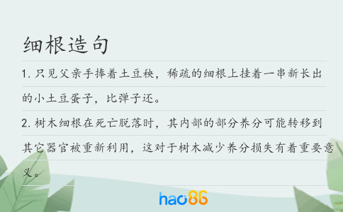 細根造句