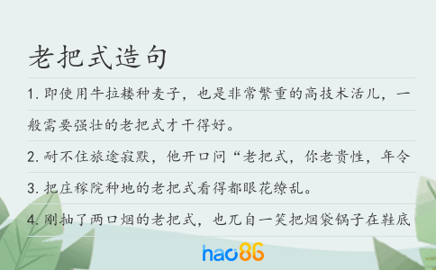 老把式造句