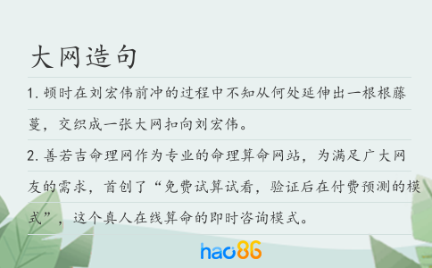大網(wǎng)造句