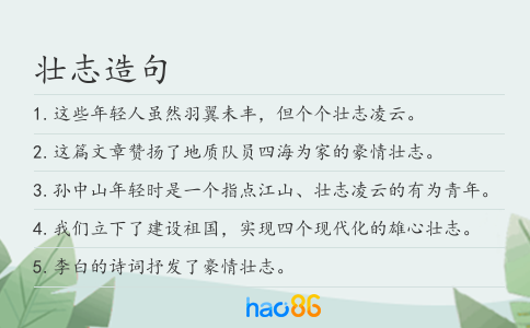 壯志造句