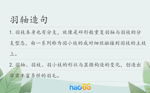 羽軸造句