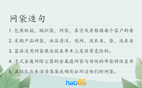 網(wǎng)袋造句