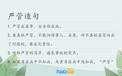 嚴管造句