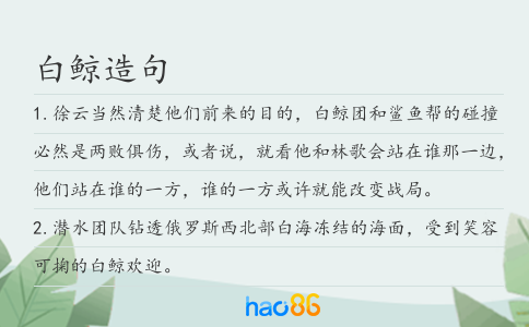 白鯨造句