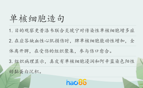 單核細胞造句