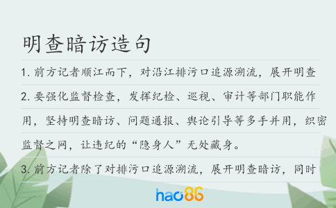明查暗訪造句