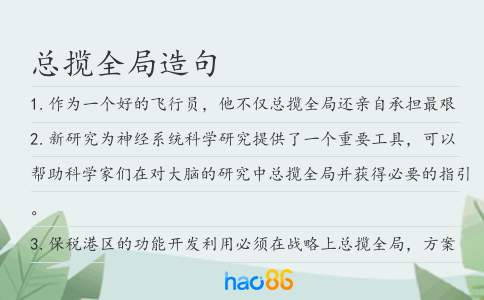 總攬全局造句