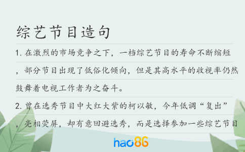 綜藝節目造句