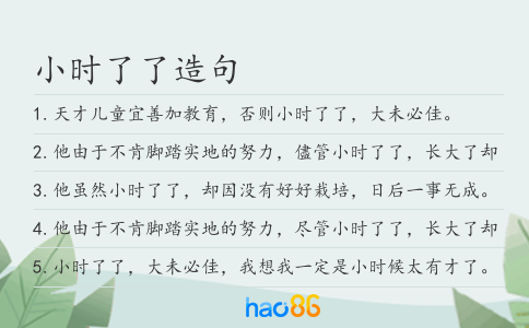 小時了了造句
