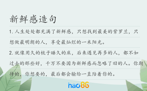 新鮮感造句