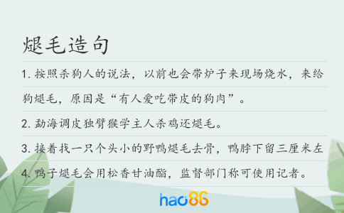 煺毛造句