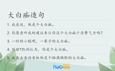 大白癡造句