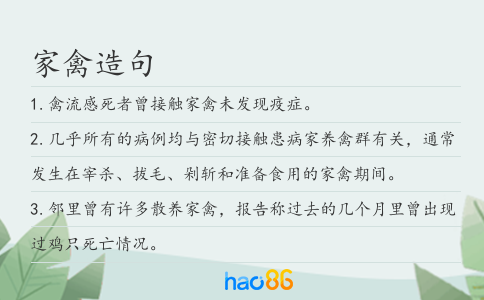家禽造句