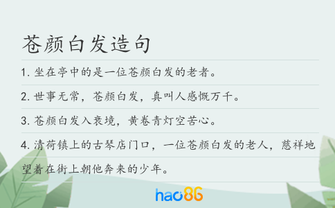 蒼顏白發造句
