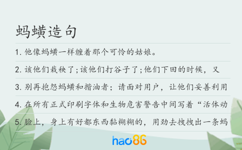 螞蟥造句