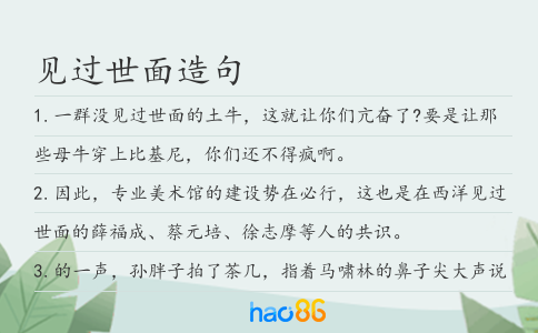 見過世面造句