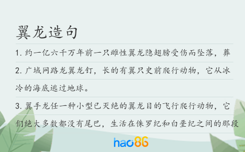 翼龍造句