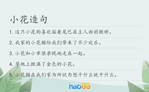 小花造句