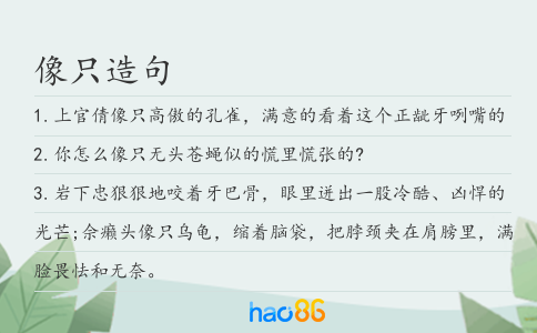 像只造句