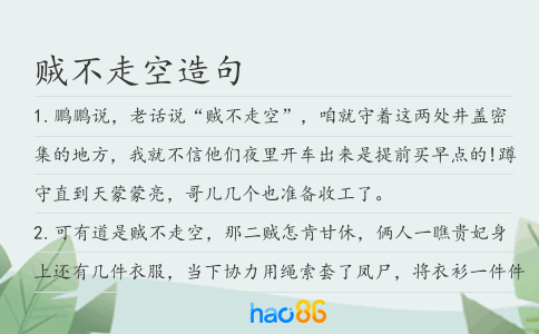 賊不走空造句