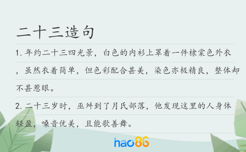 二十三造句