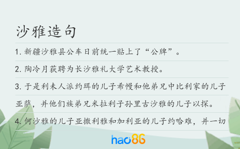 沙雅造句